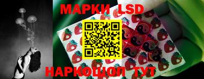 гидра Кандалакша