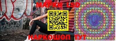гидра Кандалакша