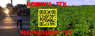 гидра Кандалакша