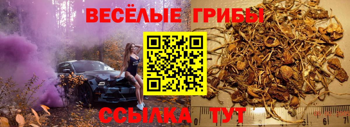 Псилоцибиновые грибы прущие грибы Кушва