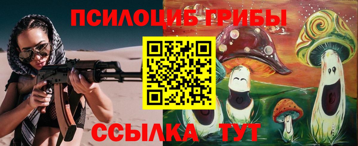 Кушва  Псилоцибиновые грибы Psilocybe  Вход с VPN 